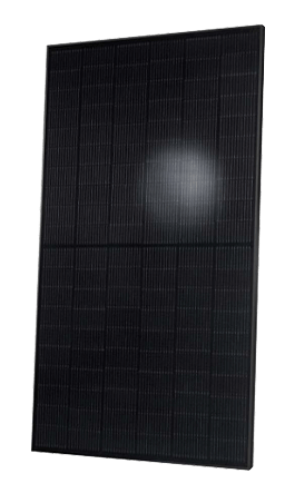 Q.PEAK-DUO-BLK-G10PLUS-365-HL-2